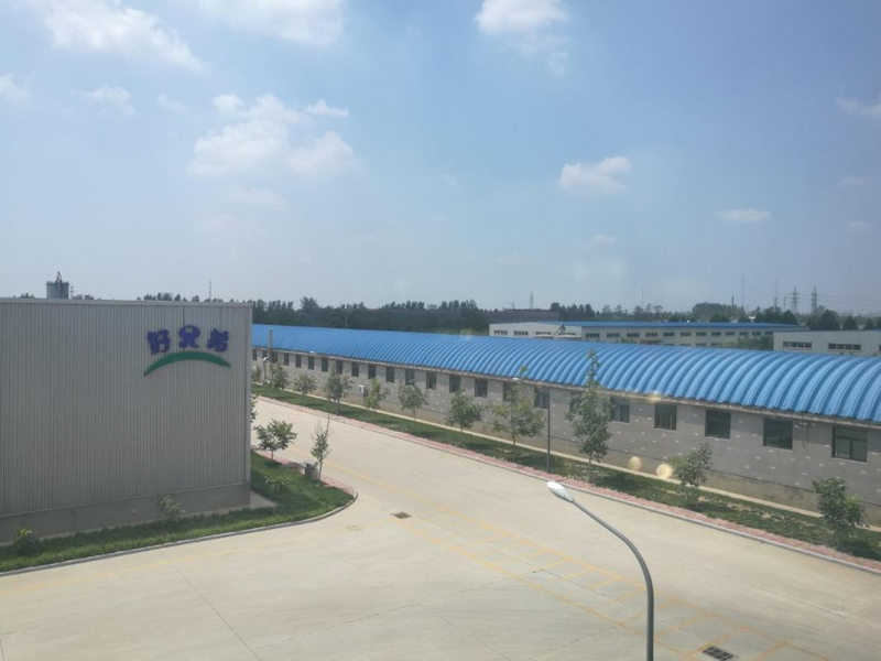 T+助“邢臺好兄弟食品有限公司”冰爽整個夏天