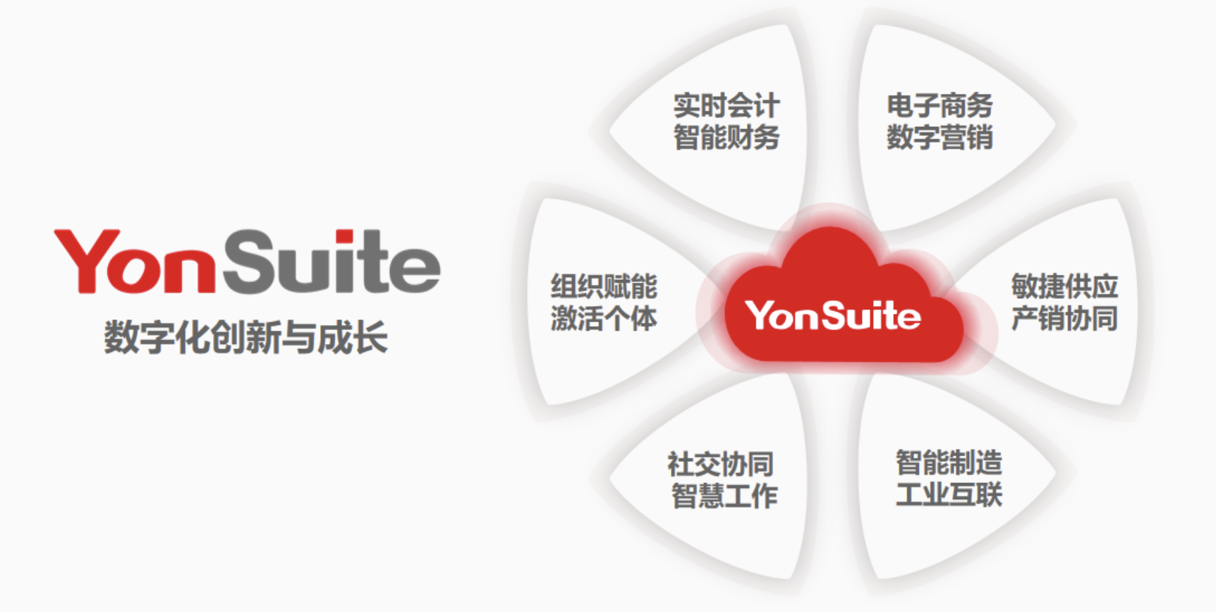 yonsuite yonsuite